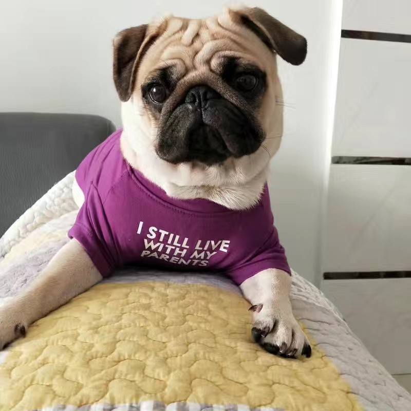 ファッションフレンチブルドッグパグベストシャツサマーペット犬 - Summer Clothing In French のレビューと価格