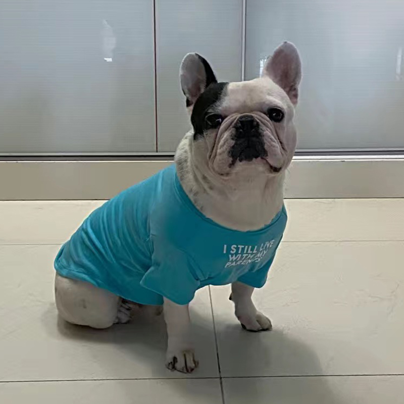 ファッションフレンチブルドッグパグベストシャツサマーペット犬 - Summer Clothing In French のレビューと価格