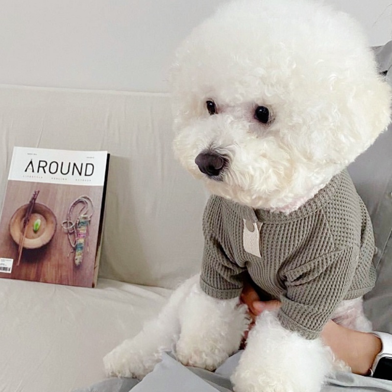 夏ペットシャツ固体犬 Tシャツ小中犬用ベストチワワフレンチブ - Summer Clothing In French のレビューと価格