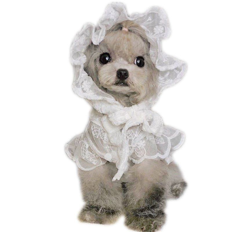 女の子のための白いレースのプリンセスドレス,犬と猫の服,ラウ - Xl Summer Clothing のレビューと価格